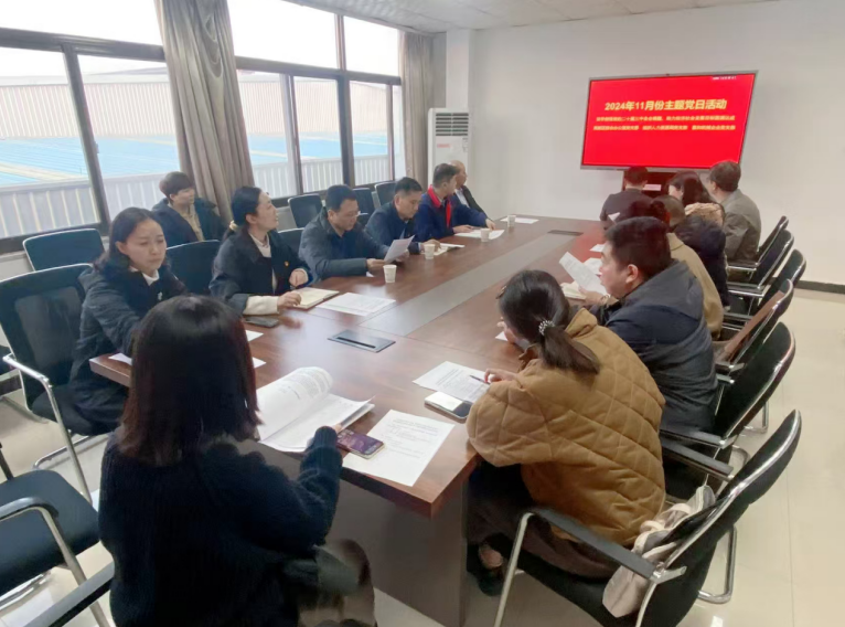 深入學(xué)習(xí)黨的二十屆三中全會(huì)精神，開(kāi)展主題黨日活動(dòng)